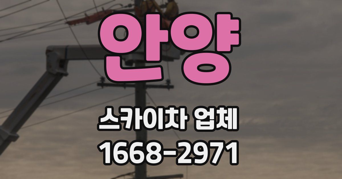 안양 스카이차 업체