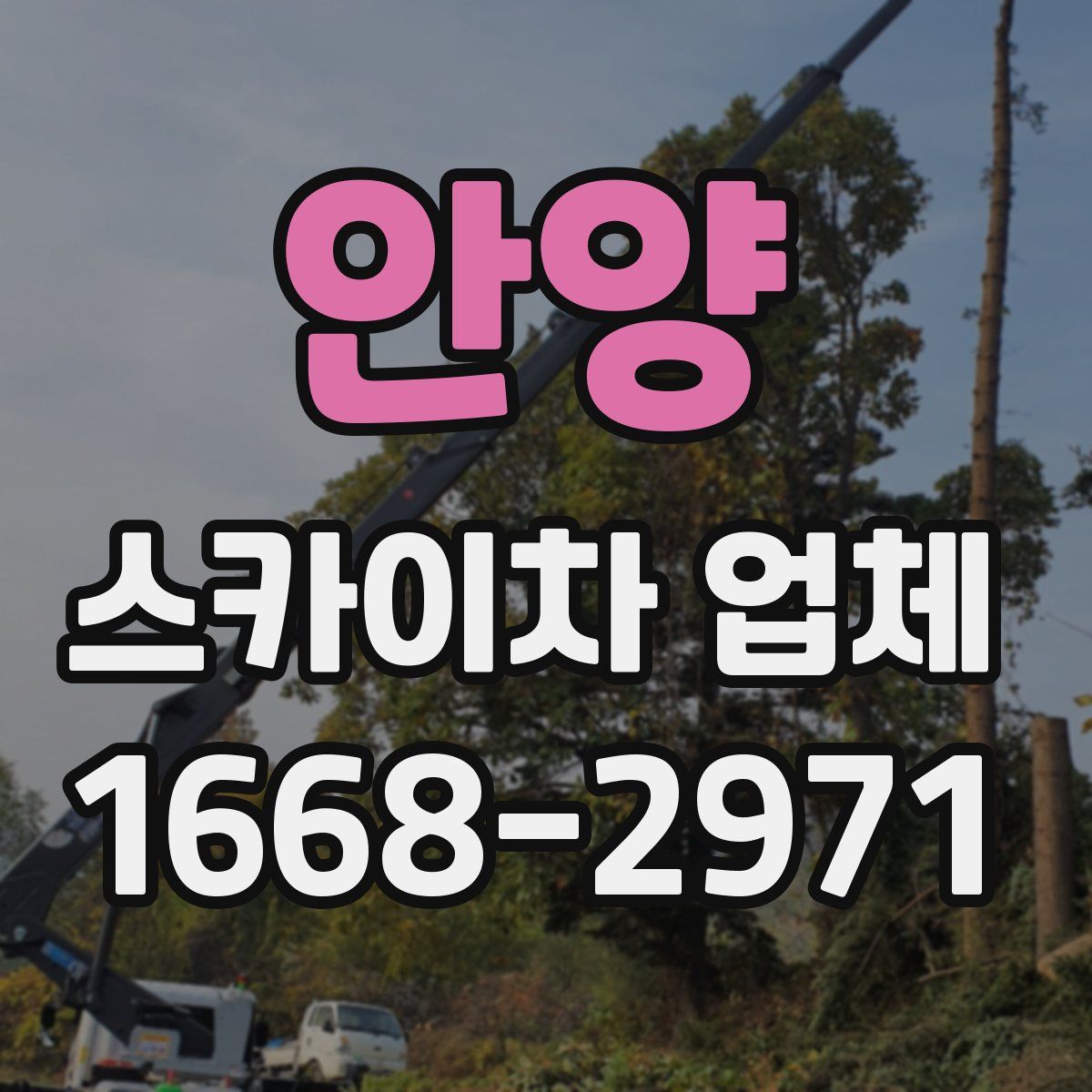 안양 스카이차 업체