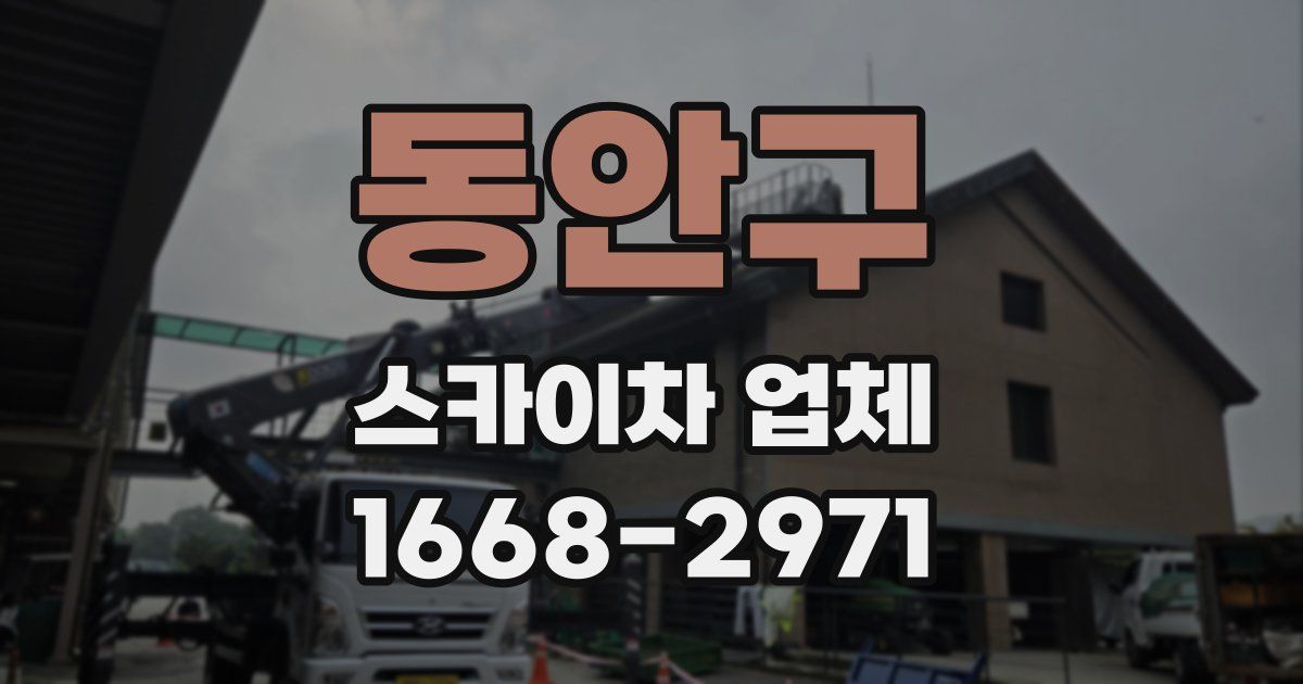 동안구 스카이차 업체