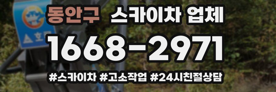 동안구 스카이차 업체