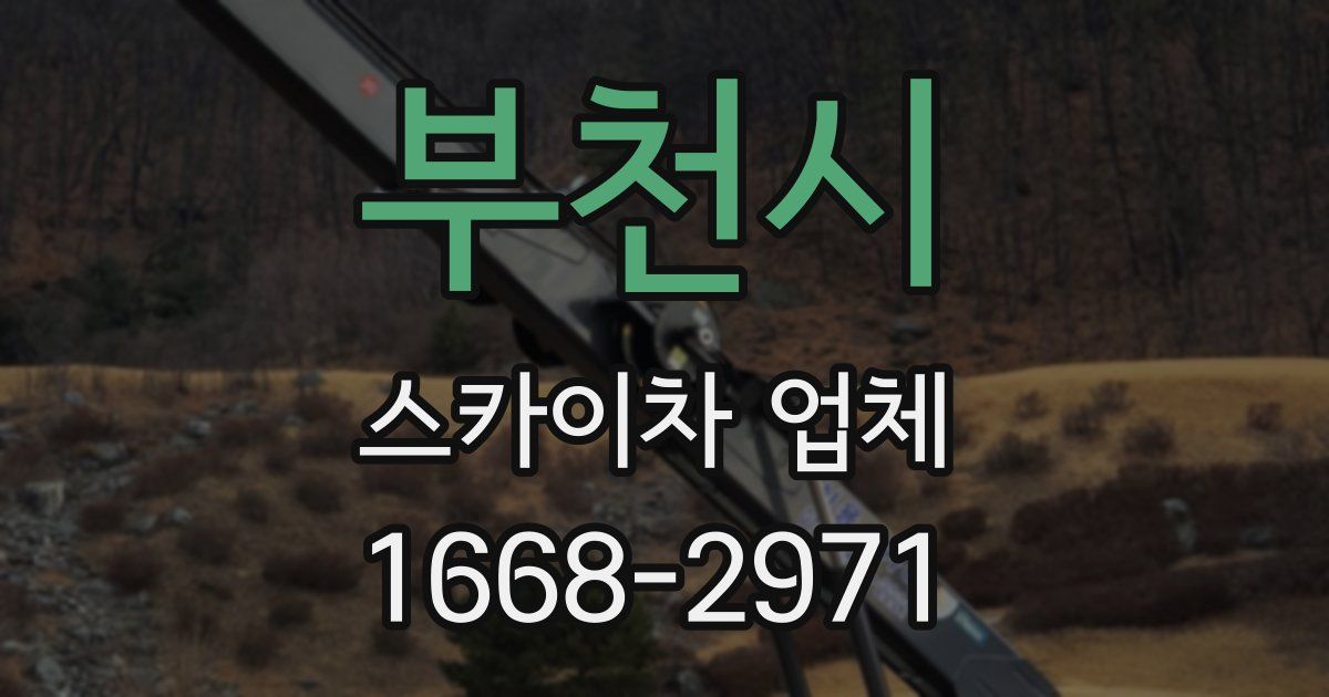 부천시 스카이차 업체