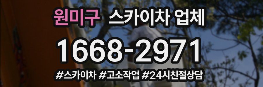 원미구 스카이차 업체