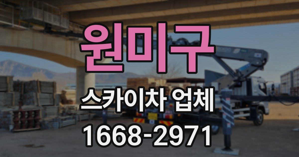 원미구 스카이차 업체