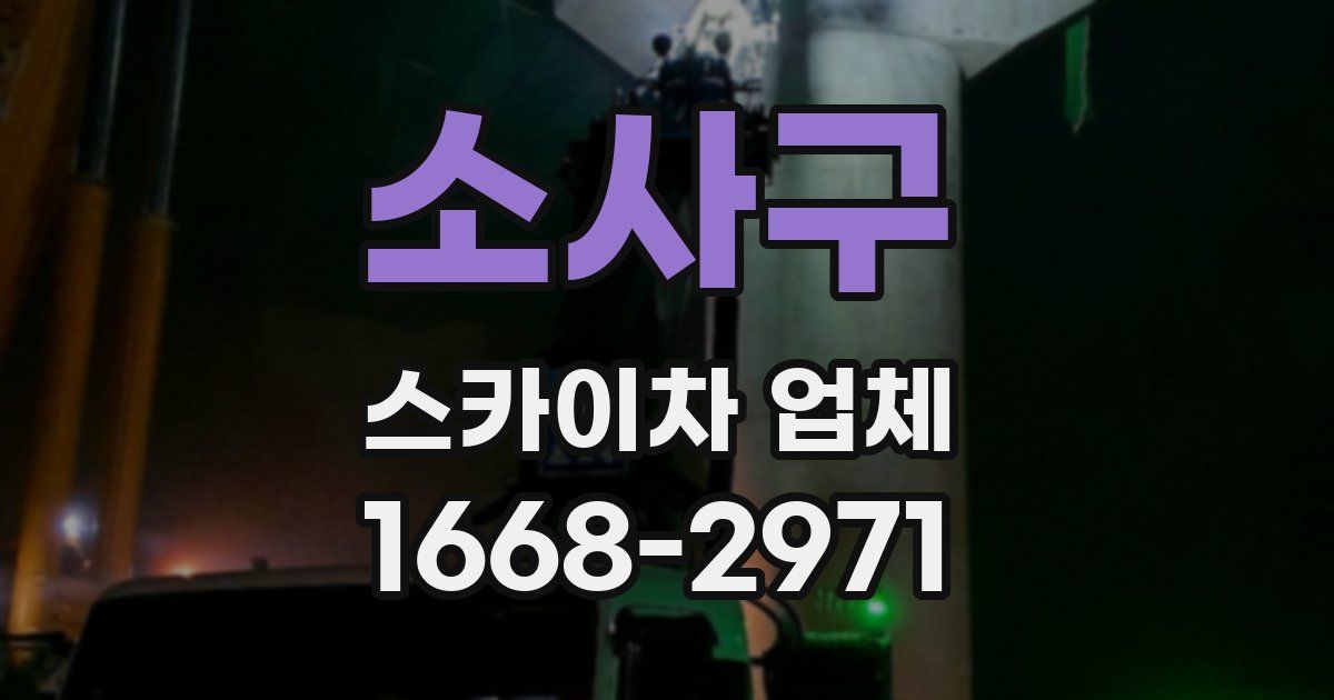 소사구 스카이차 업체