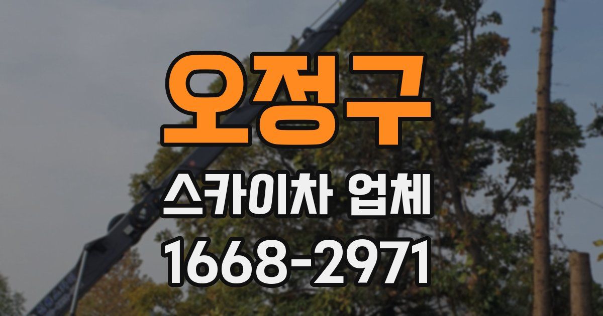 오정구 스카이차 업체