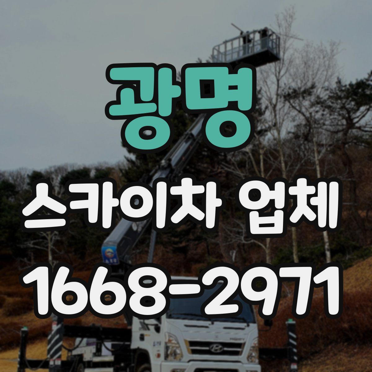 광명 스카이차 업체