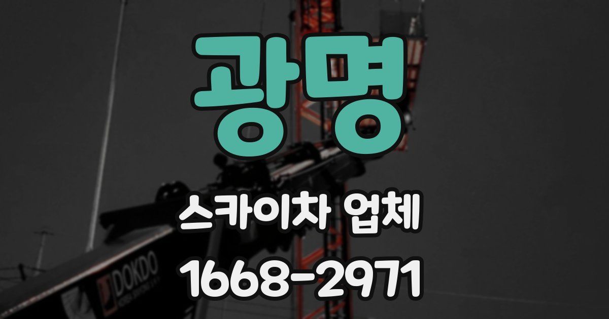 광명 스카이차 업체