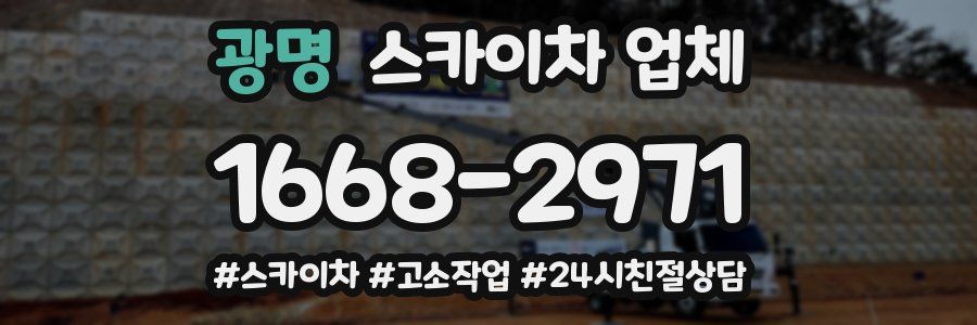 광명 스카이차 업체