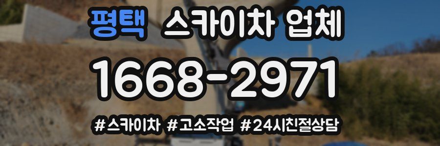 평택 스카이차 업체