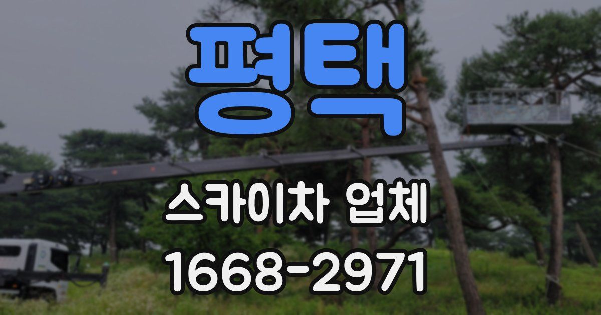 평택 스카이차 업체
