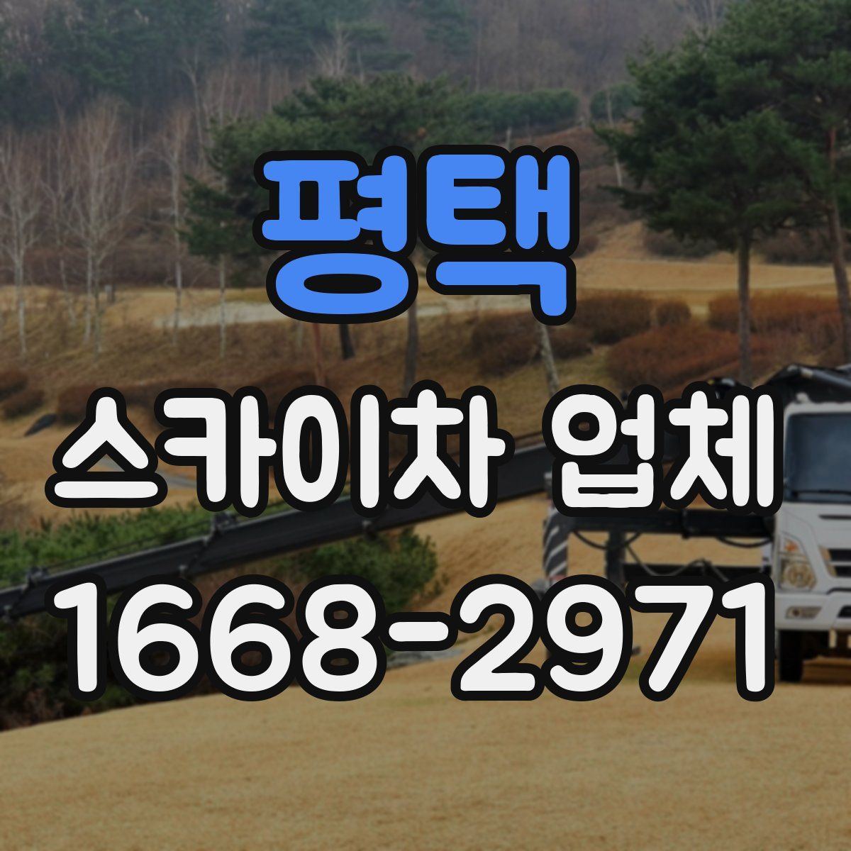 평택 스카이차 업체