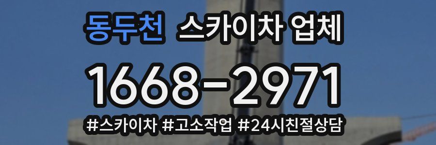 동두천 스카이차 업체