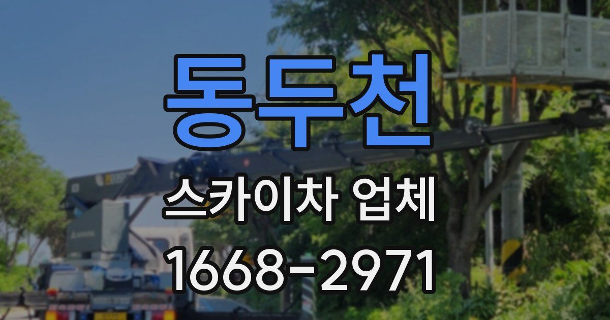 동두천 스카이차 업체