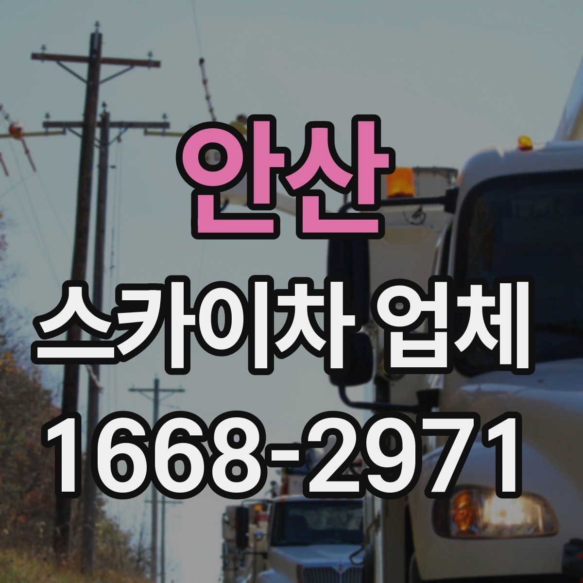 안산 스카이차 업체