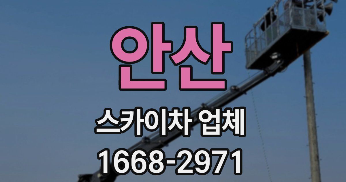 안산 스카이차 업체