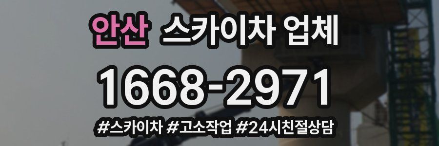 안산 스카이차 업체