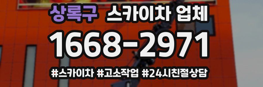 상록구 스카이차 업체