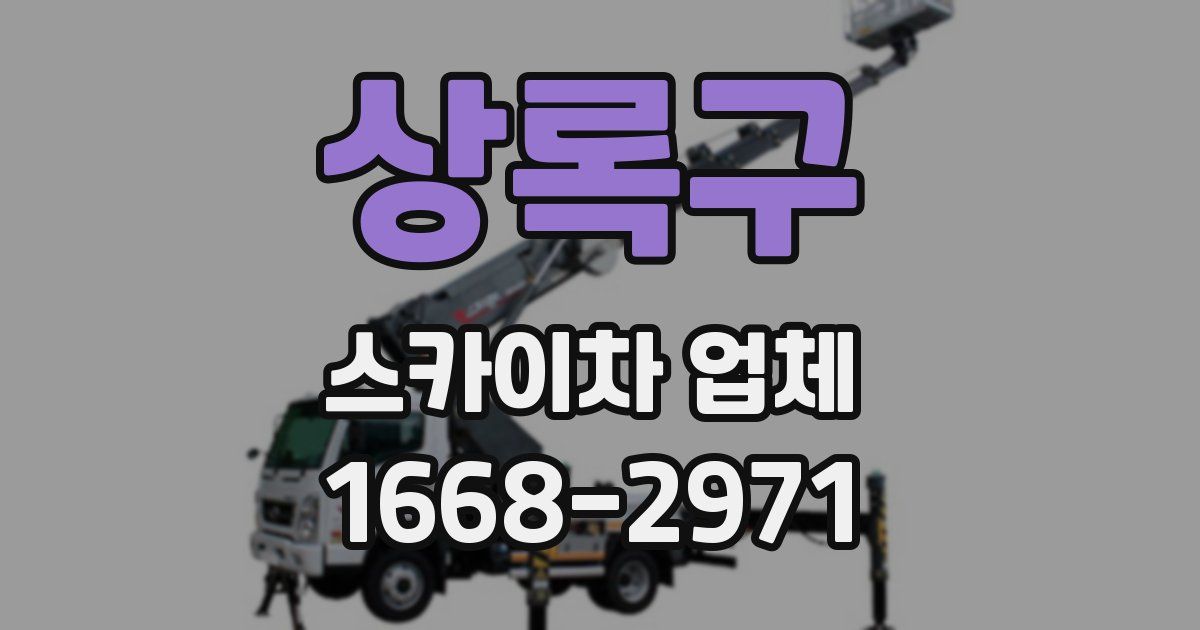 상록구 스카이차 업체