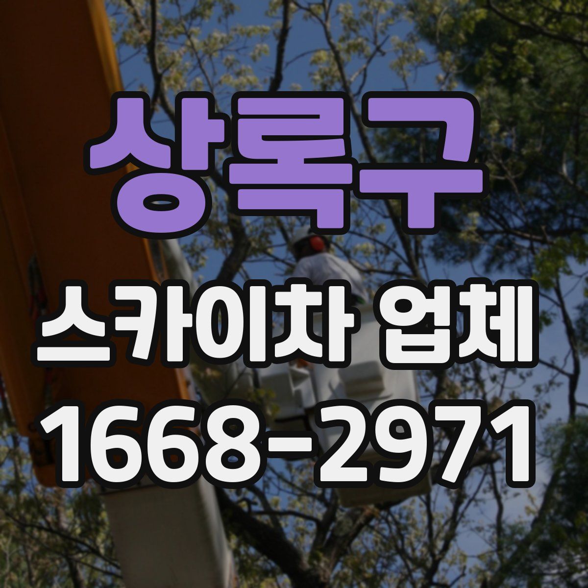 상록구 스카이차 업체