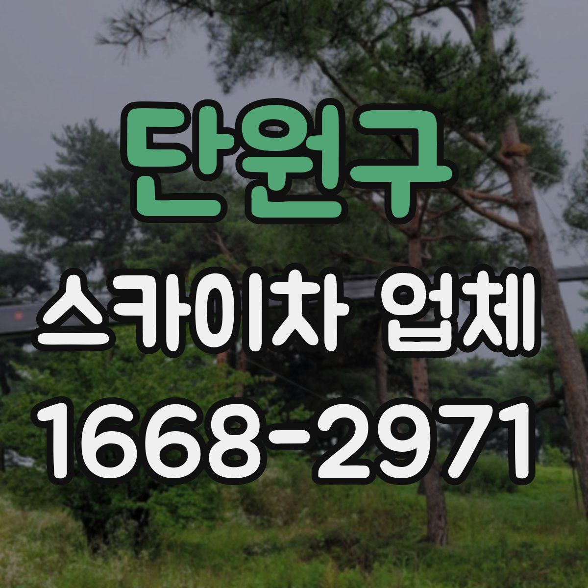 단원구 스카이차 업체