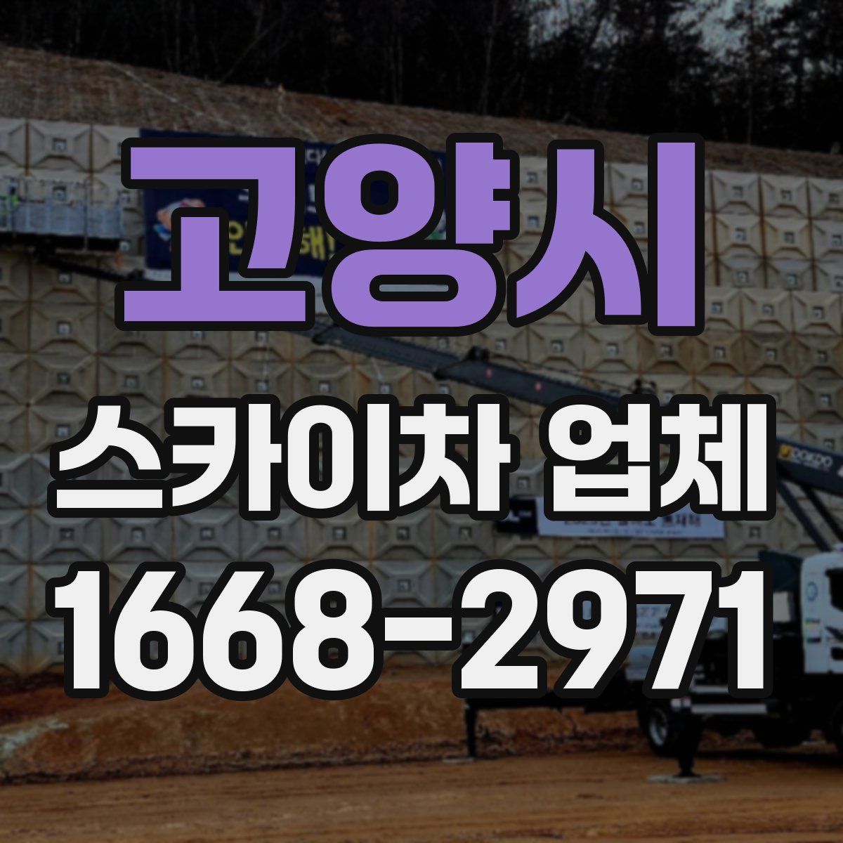 고양시 스카이차 업체