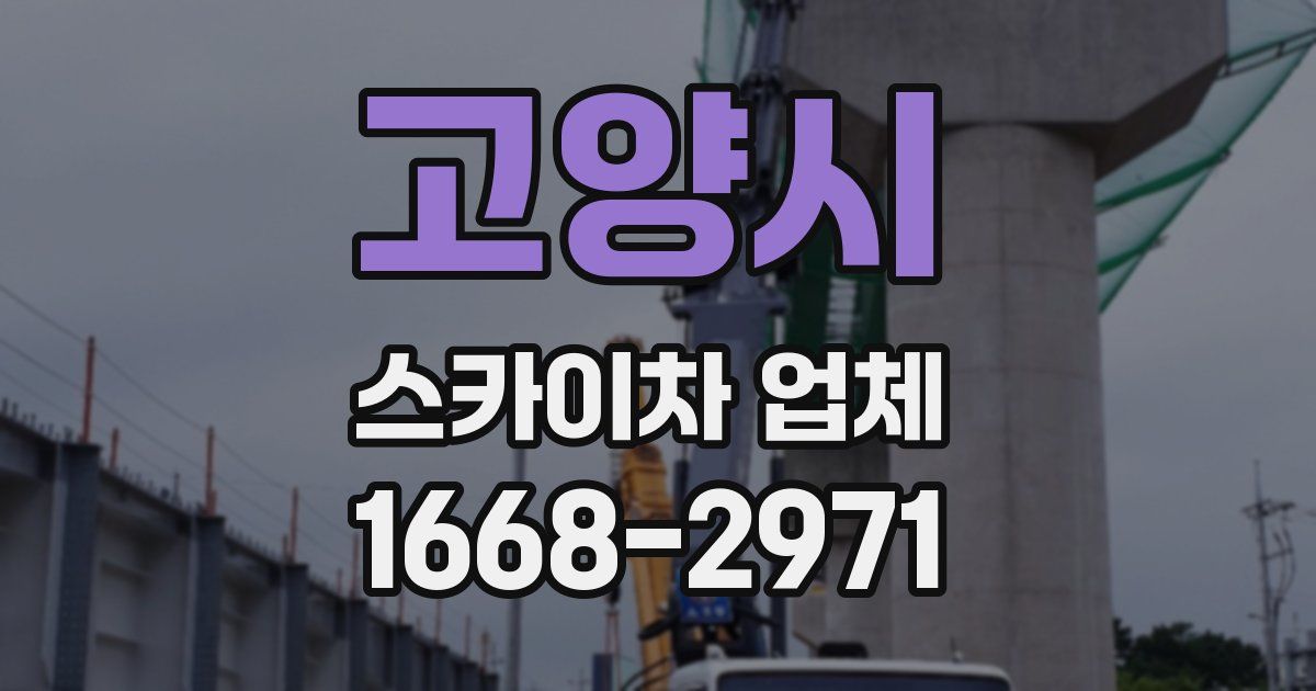 고양시 스카이차 업체