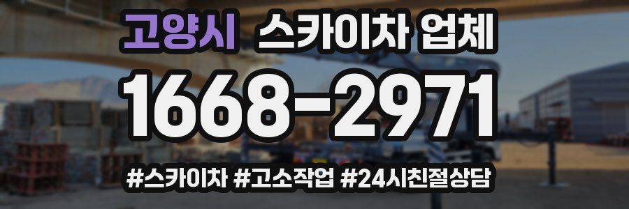 고양시 스카이차 업체