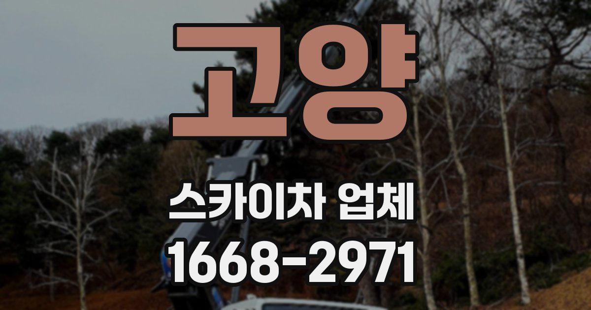 고양 스카이차 업체