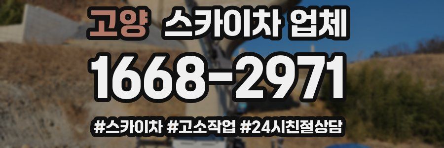 고양 스카이차 업체