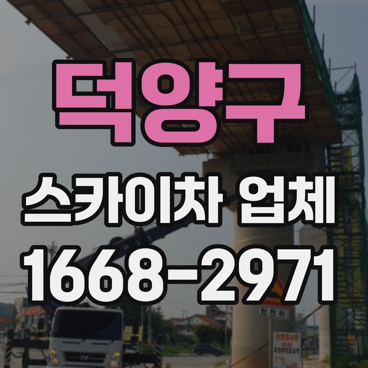덕양구 스카이차 업체