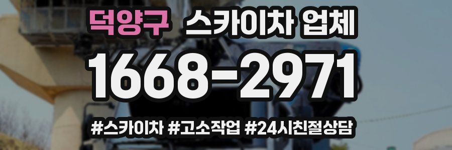 덕양구 스카이차 업체