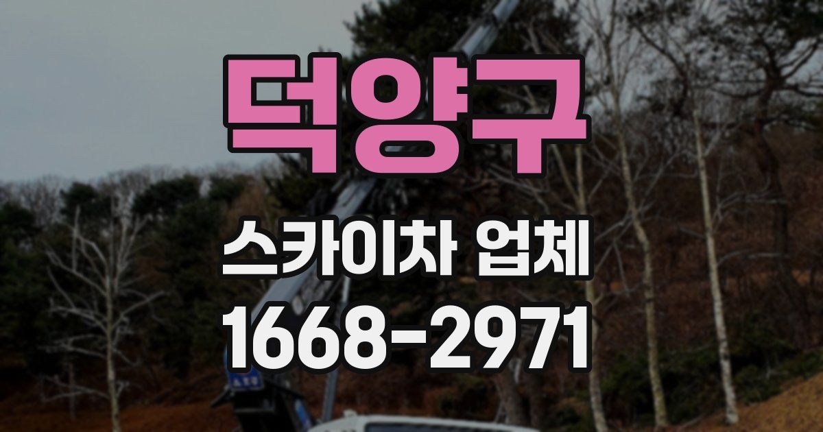 덕양구 스카이차 업체