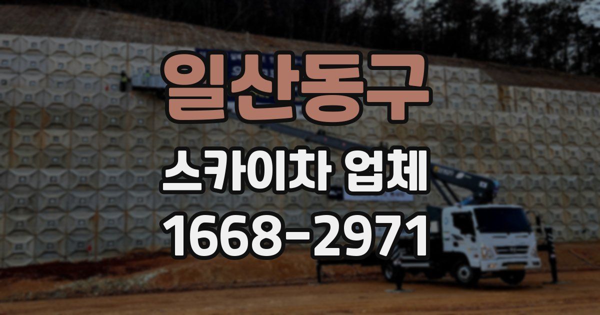 일산동구 스카이차 업체