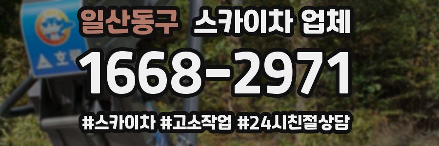 일산동구 스카이차 업체