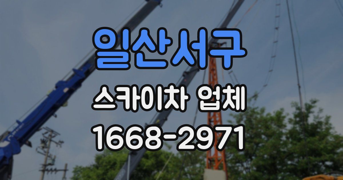 일산서구 스카이차 업체