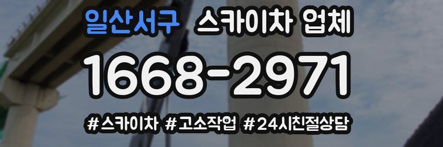 일산서구 스카이차 업체