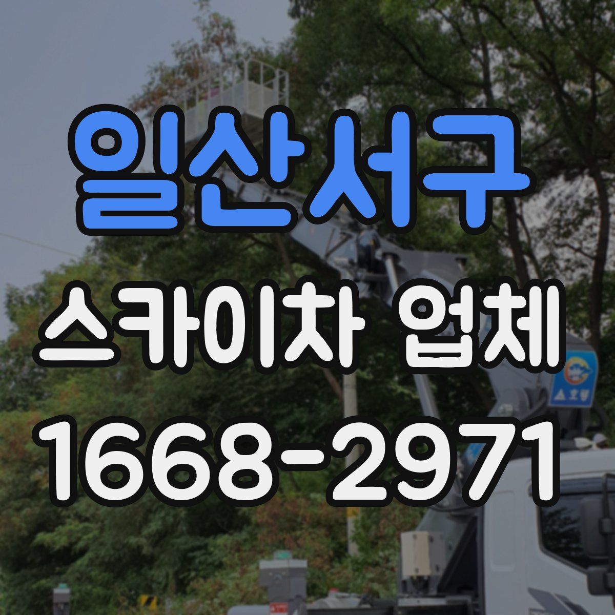 일산서구 스카이차 업체