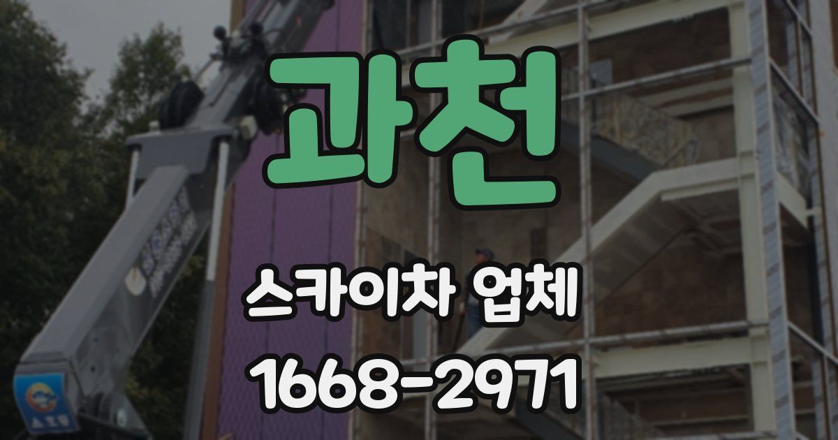 과천 스카이차 업체