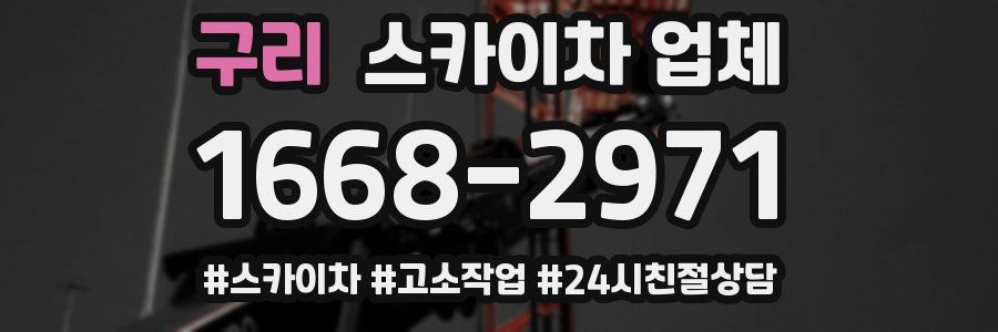 구리 스카이차 업체