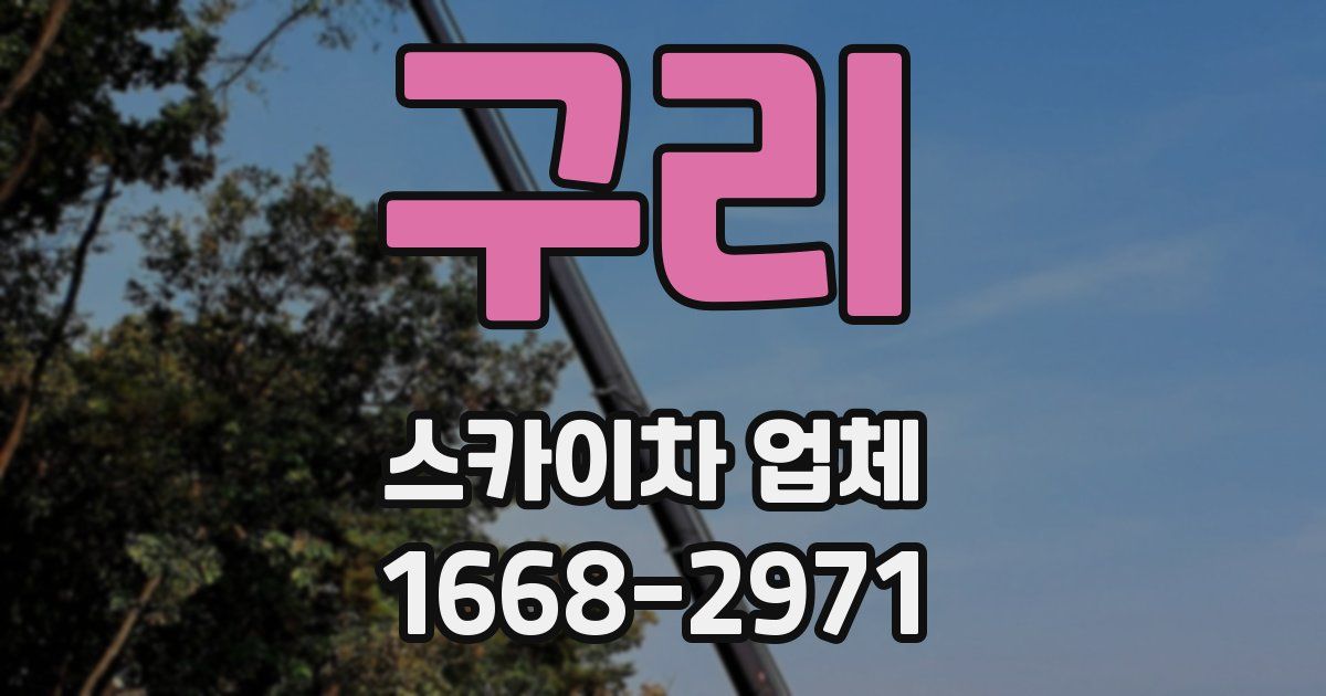 구리 스카이차 업체