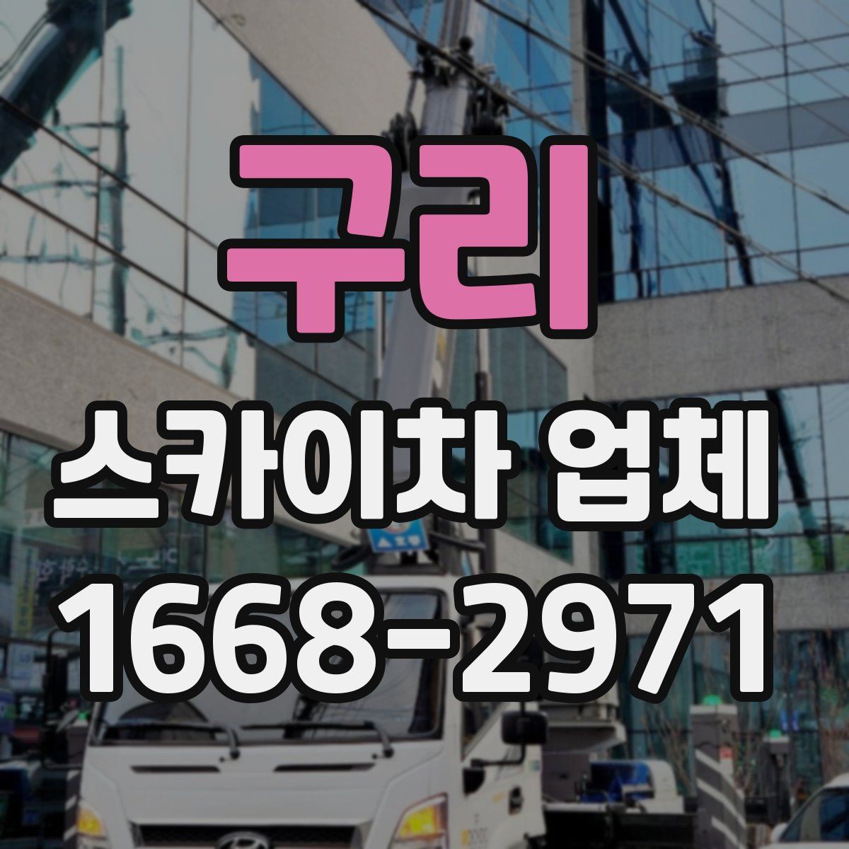 구리 스카이차 업체