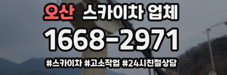 오산 스카이차 업체