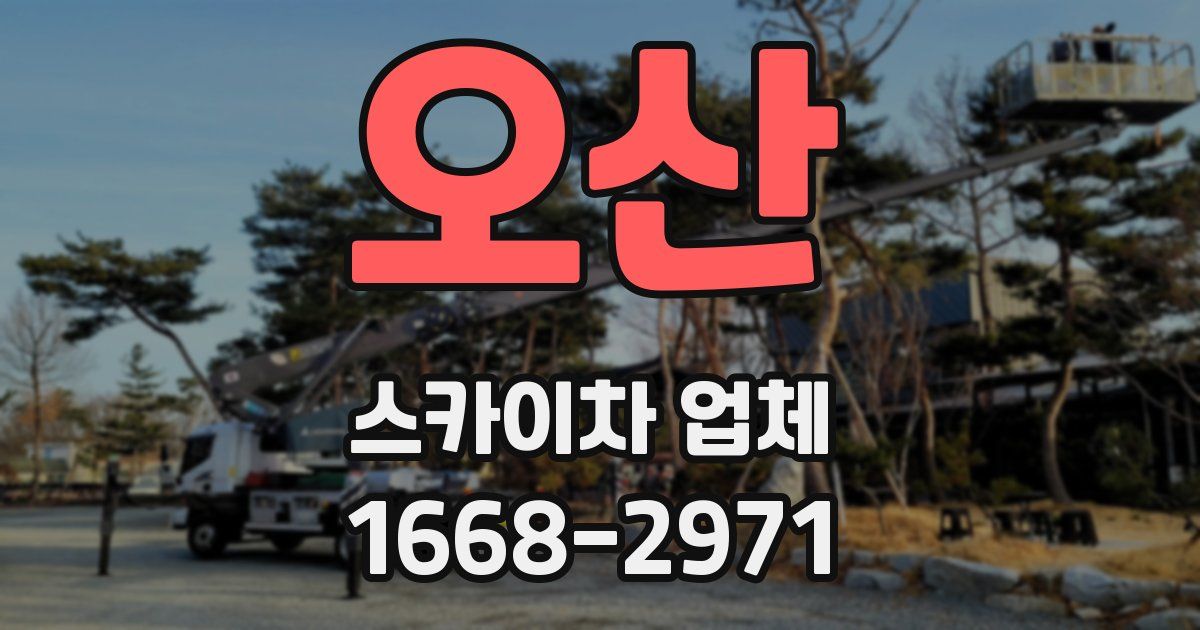 오산 스카이차 업체