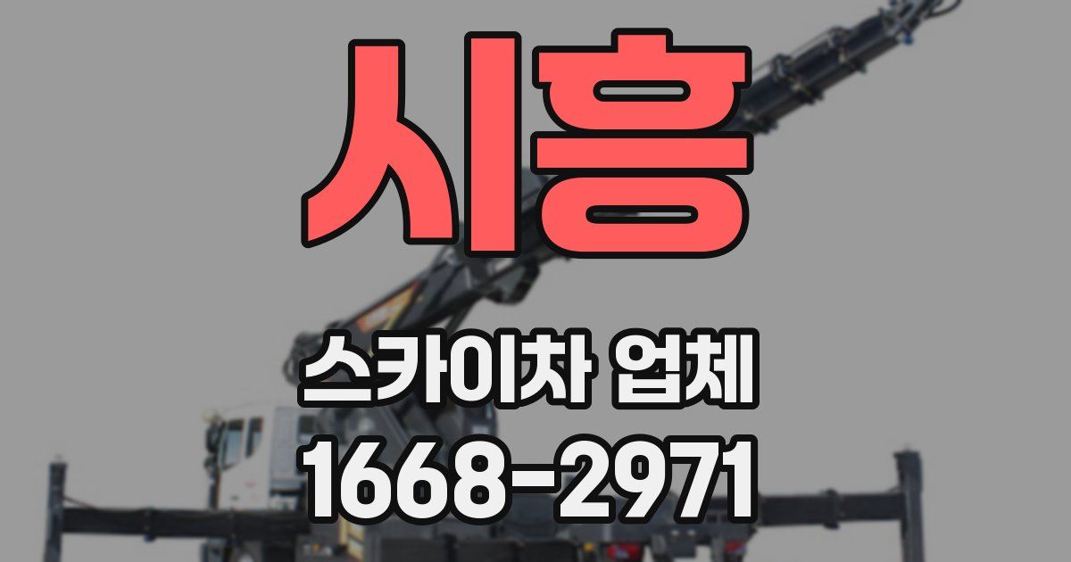 시흥 스카이차 업체