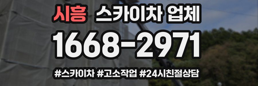 시흥 스카이차 업체