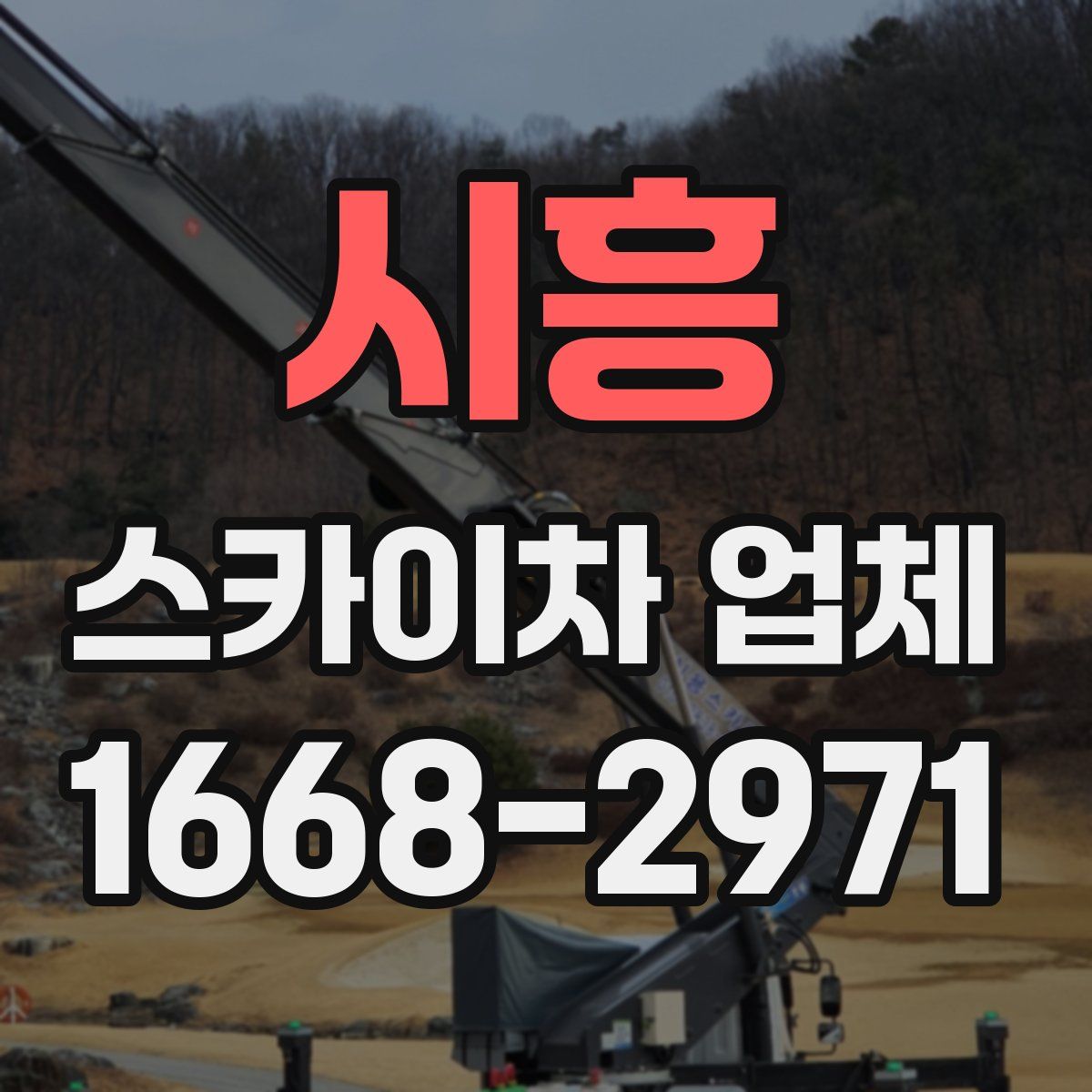 시흥 스카이차 업체