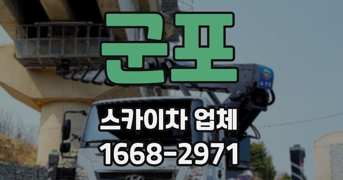 군포 스카이차 업체