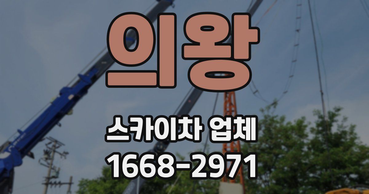 의왕 스카이차 업체