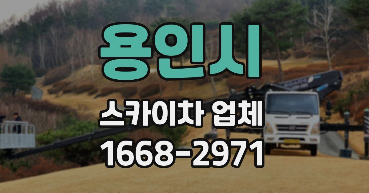 용인시 스카이차 업체