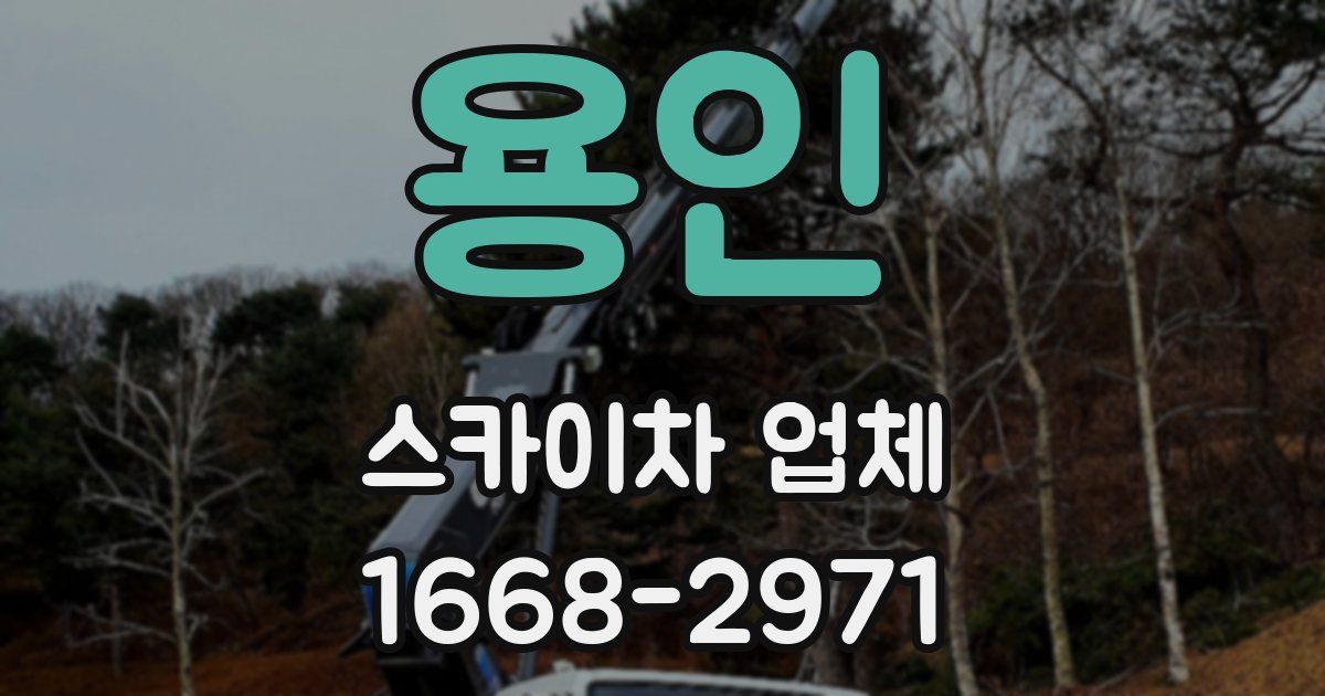 용인 스카이차 업체